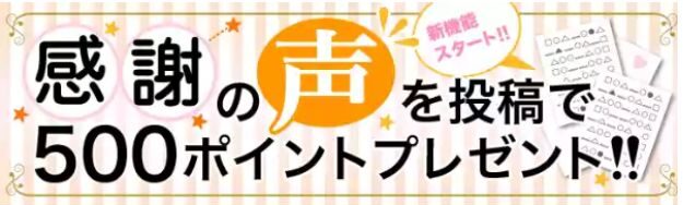 レビューの投稿で500ポイントゲット