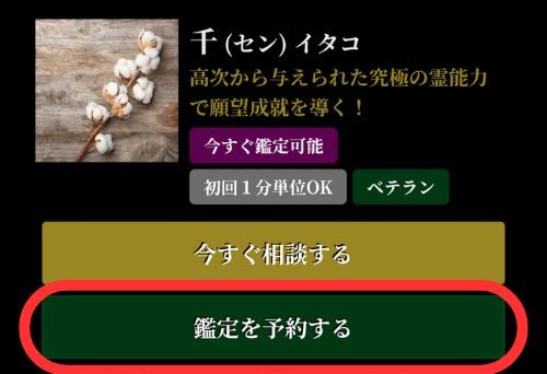 【鑑定を予約する】をタップ