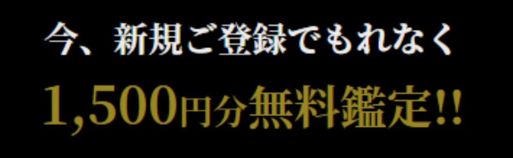 新規登録で1500円分初回無料