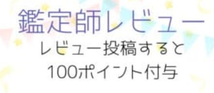 鑑定後にレビューを書いて100ポイントゲット