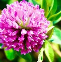 菅野つぐみ先生