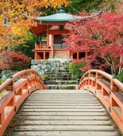 朝霞あさか先生