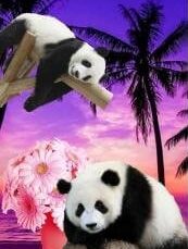 ほのてぃ先生