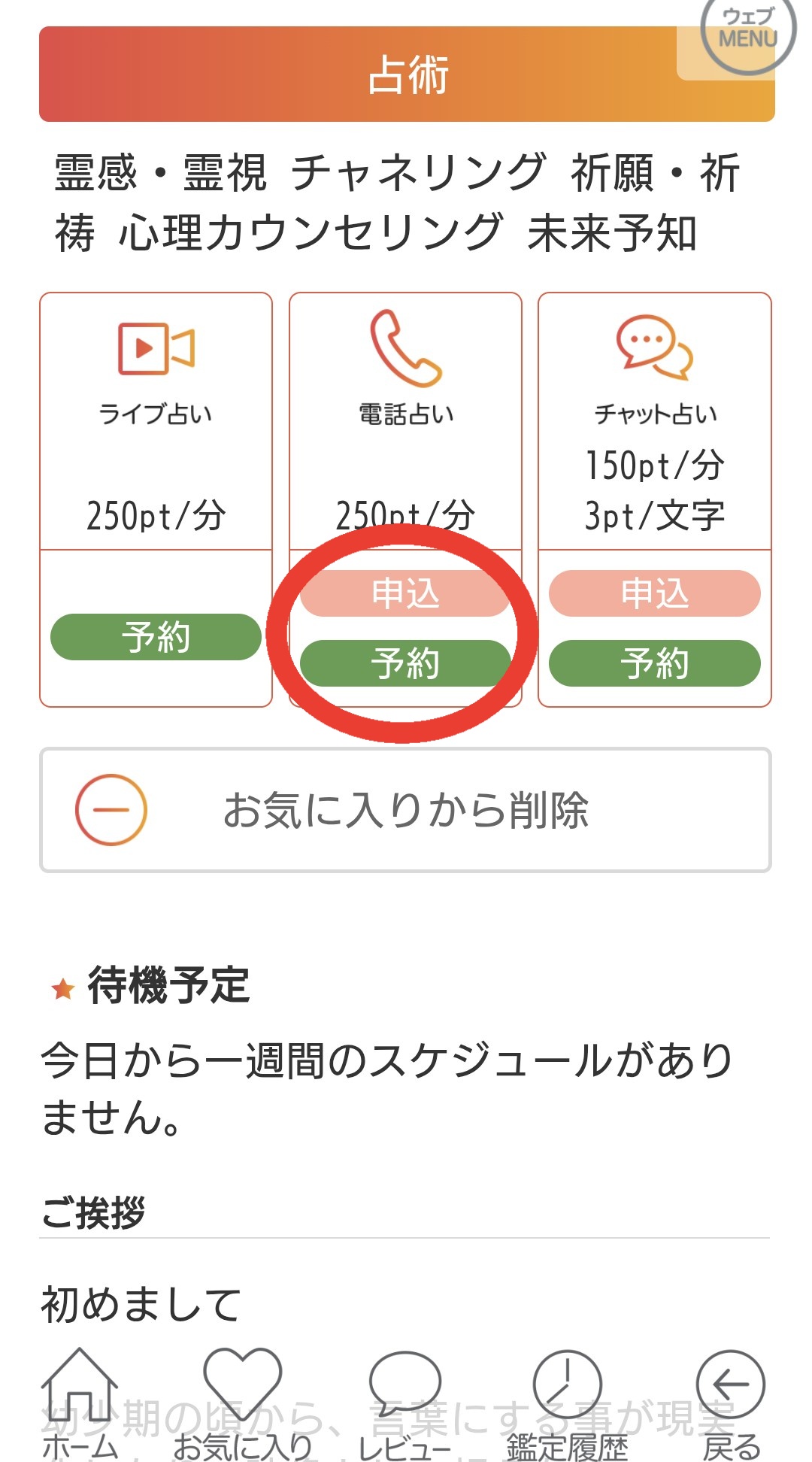 電話占いカミール即時鑑定