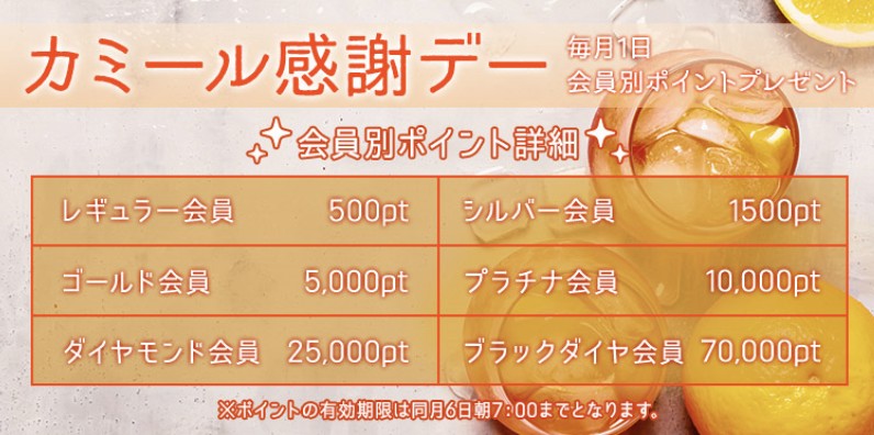 電話占いカミール会員ランク
